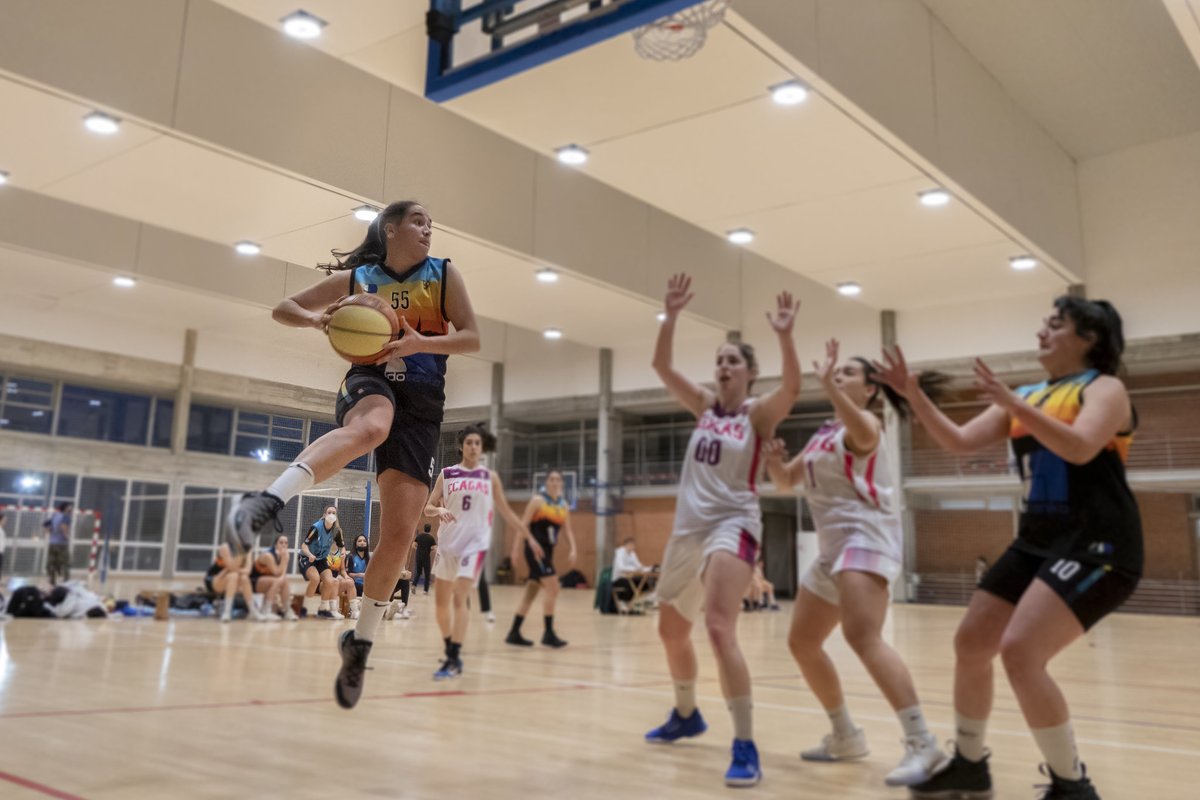 🏀 Senior primera femenina
⛹️‍♀️ <a href="/idotaniko/">Idotaniko®</a> Toju 00
🆚 Clínica Idem <a href="/ekhitarrak/">Ekhitarrak Kirol Kluba</a>
✅ 31 - 61
ℹ️ Un Toju 00 superior suma una nueva victoria a domicilio.
