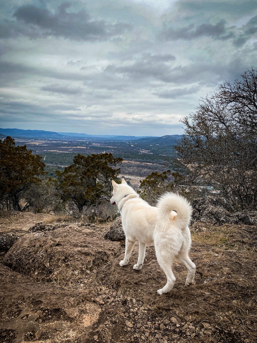 Fluffsontheroad tweet media