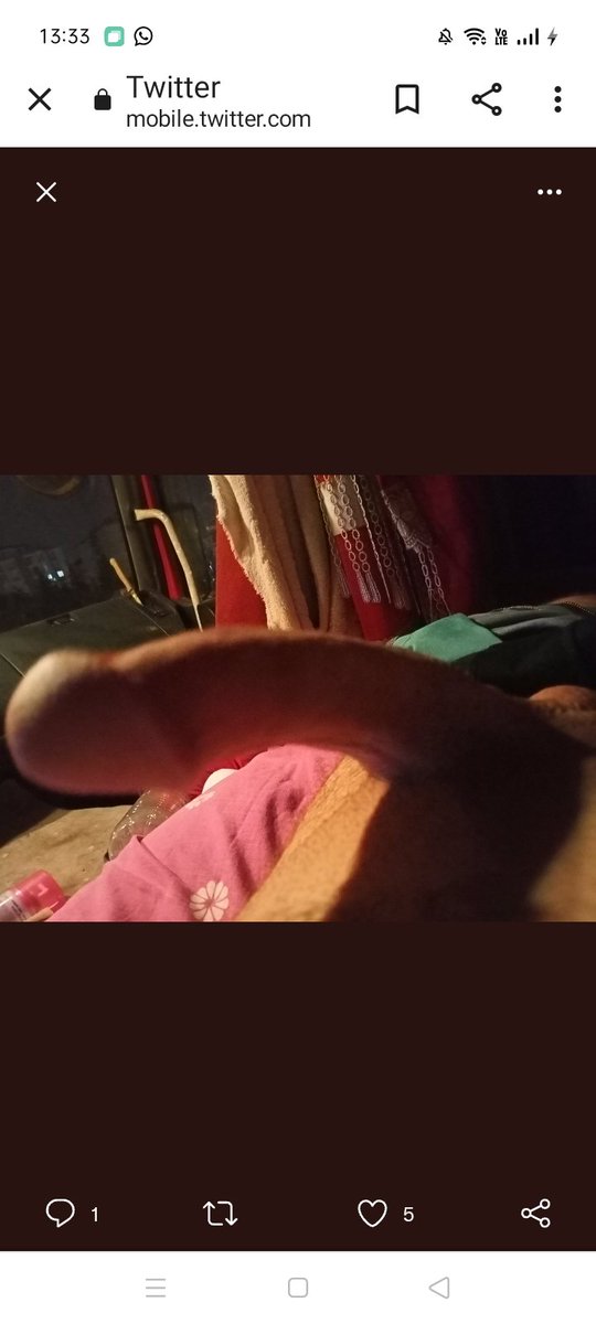 Kim bacak arasına almak ister bunu #gebzepasif