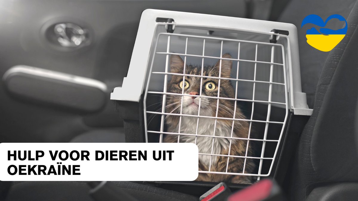 Dierenbescherming tweet media