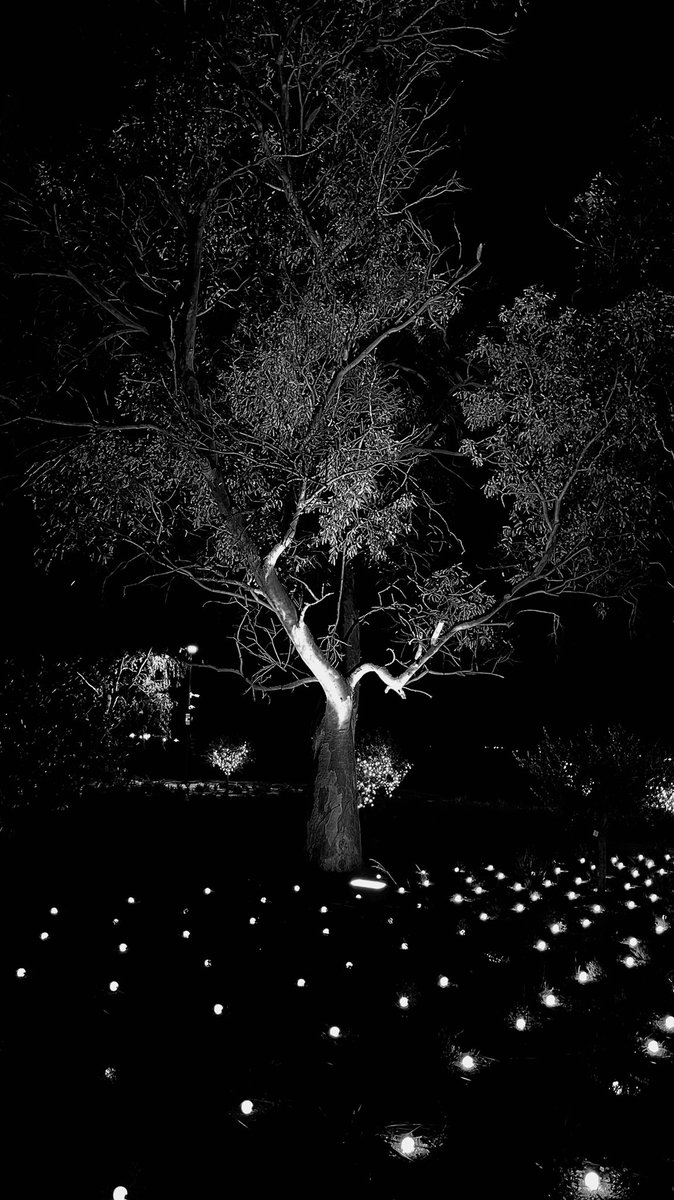 neuroevan's tweet photo. #blackandwhitephotography #NaturePhotography https://t.co/mvtXXDr3Xb