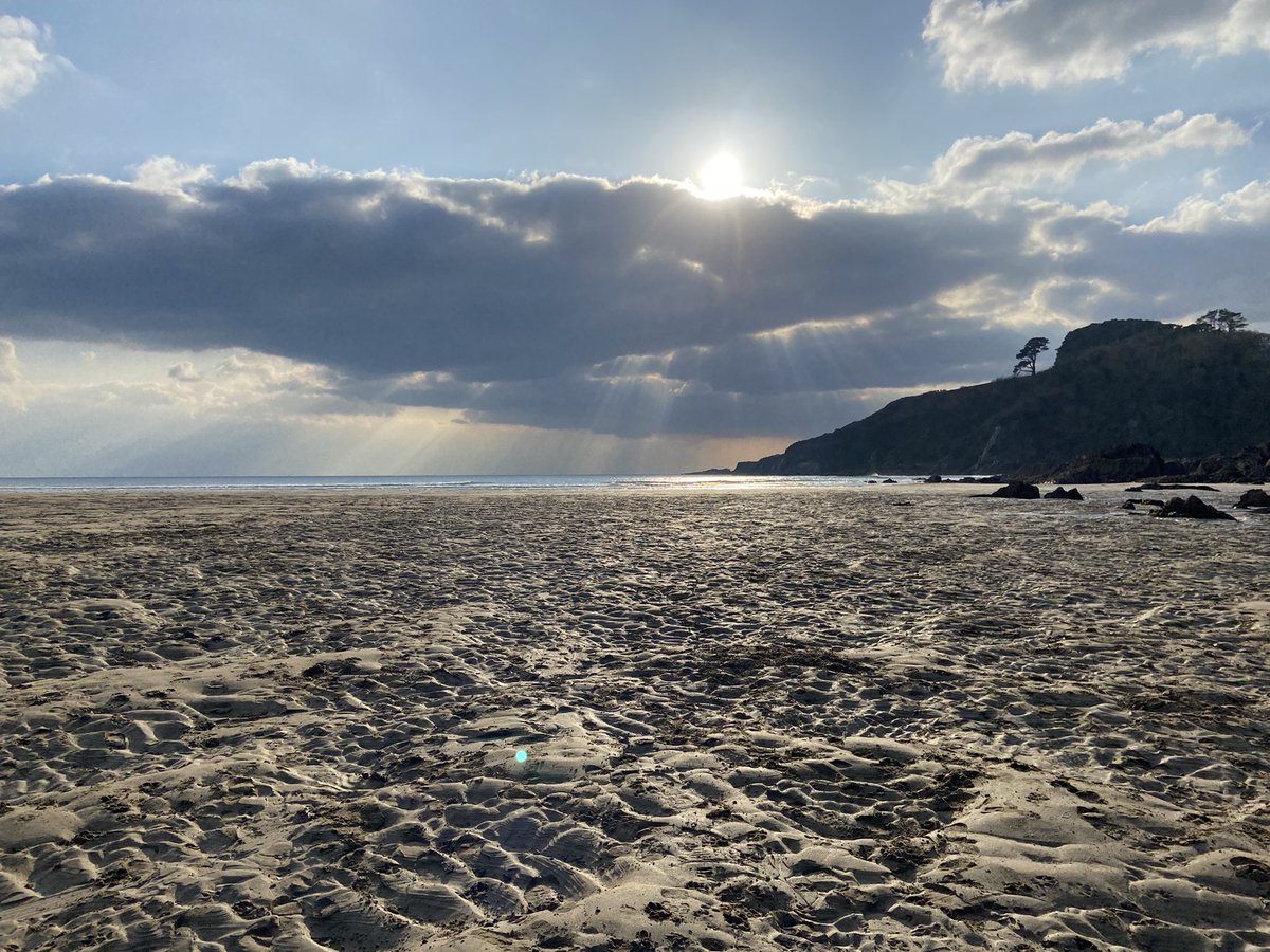DevonWilds's tweet image. Winter 🥶 or spring 🌸? 
Chill winds and breathtaking views. 
📍Mothecombe
#devon #devonlife #beach #devoncoast #southwestcoastpath #sunday #sundayvibes