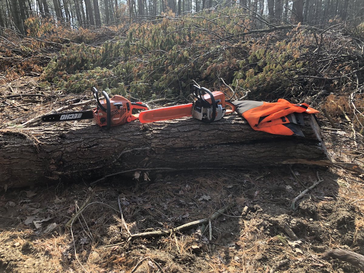 frmgrlnancy's tweet photo. Great day for getting a few acres ready for food plots. Guess I better start researching seed another few weeks and it will be ready for planting. #hunting, #foodplots, #bigbuck, #huntingforthefuture https://t.co/rbQyJTkh7R