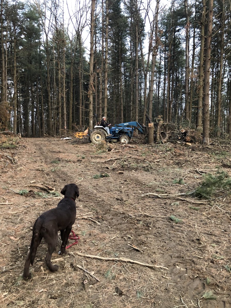 frmgrlnancy's tweet photo. Great day for getting a few acres ready for food plots. Guess I better start researching seed another few weeks and it will be ready for planting. #hunting, #foodplots, #bigbuck, #huntingforthefuture https://t.co/rbQyJTkh7R
