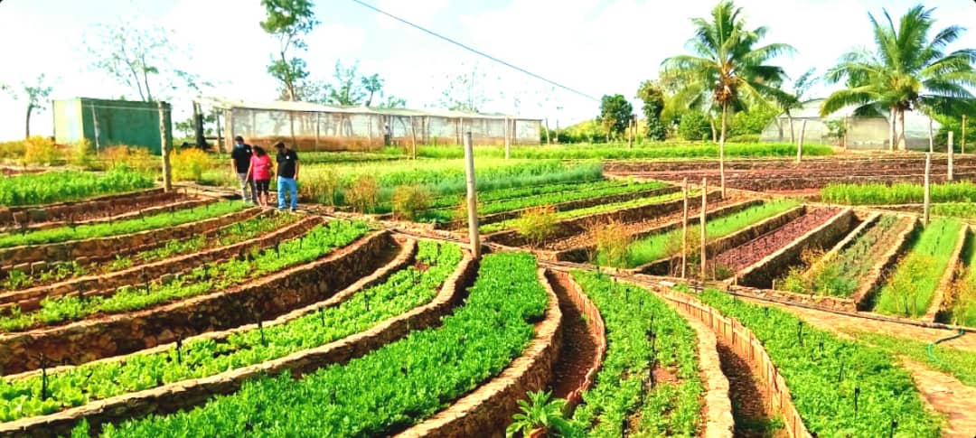 DiazCanelB's tweet photo. Este domingo en @fincamarta se vivió una experiencia ecológica muy concurrida. Qué buena iniciativa de Fernando Funes y @CubaFanj.

Poner a producir la tierra y emprender de manera sostenible tiene que ser fiesta de toda la familia. Ejemplos positivos a seguir.

#CubaPorLaVida https://t.co/FexmcNV0LU