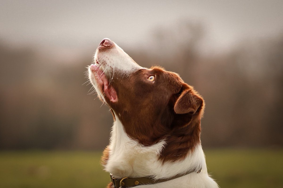 Murphy & Fly tweet media