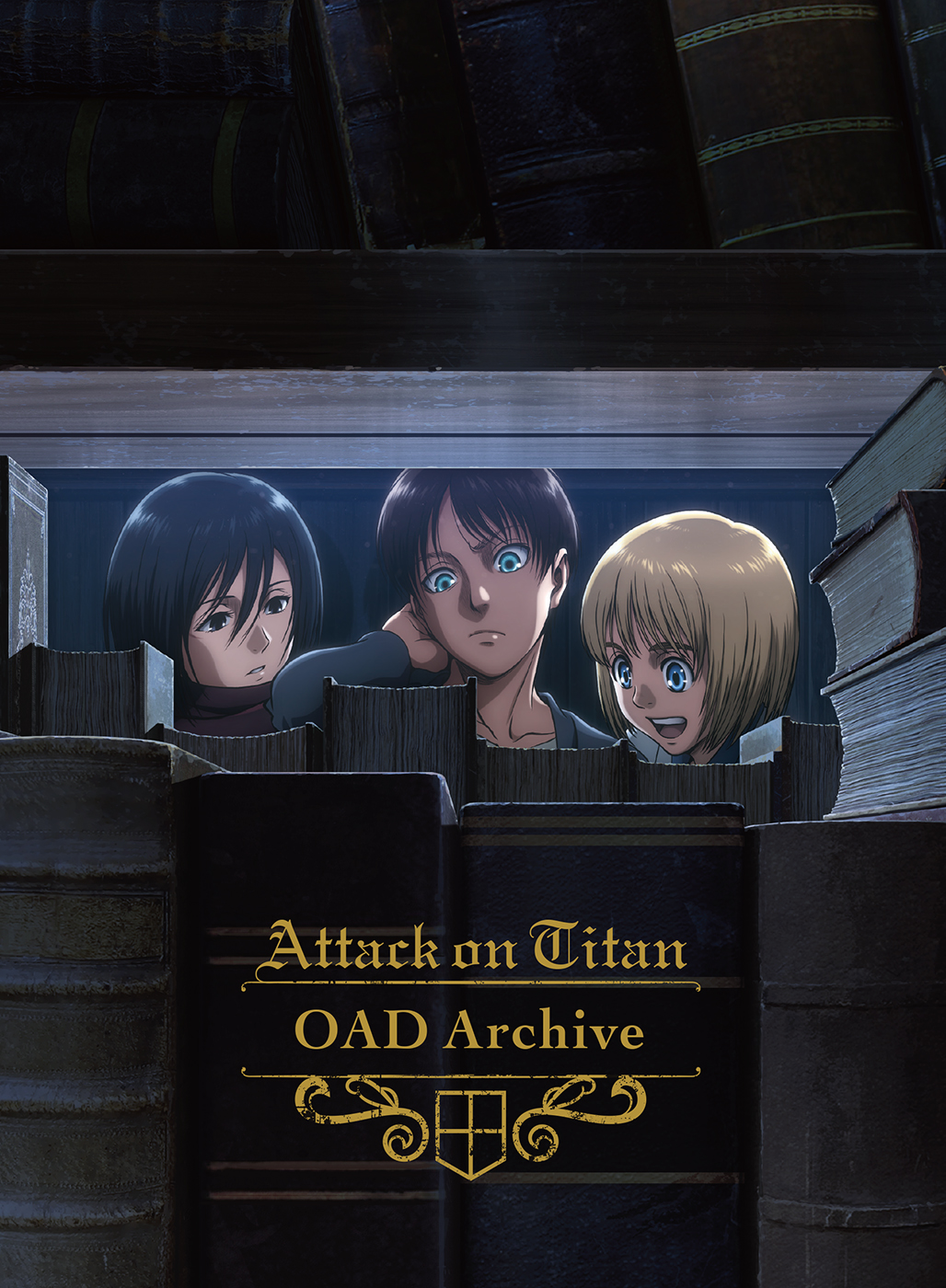 Blu Ray Shingeki No Kyojin Attack On Titan