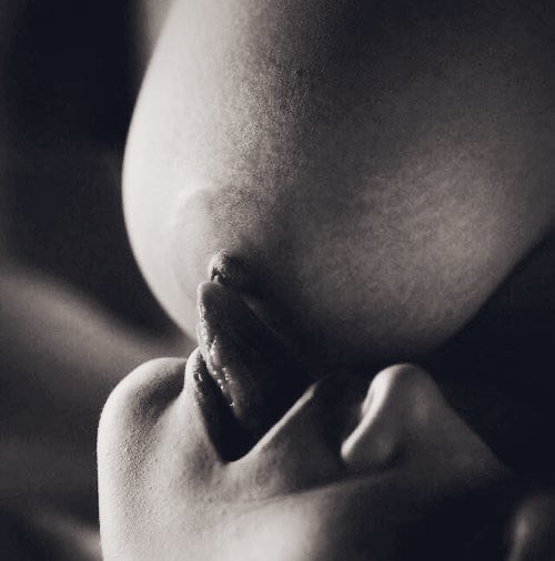 Günü iyi veya kötü geçen herkese iyi geceler. Ben tatlımı yiyip yatıcam 🤤