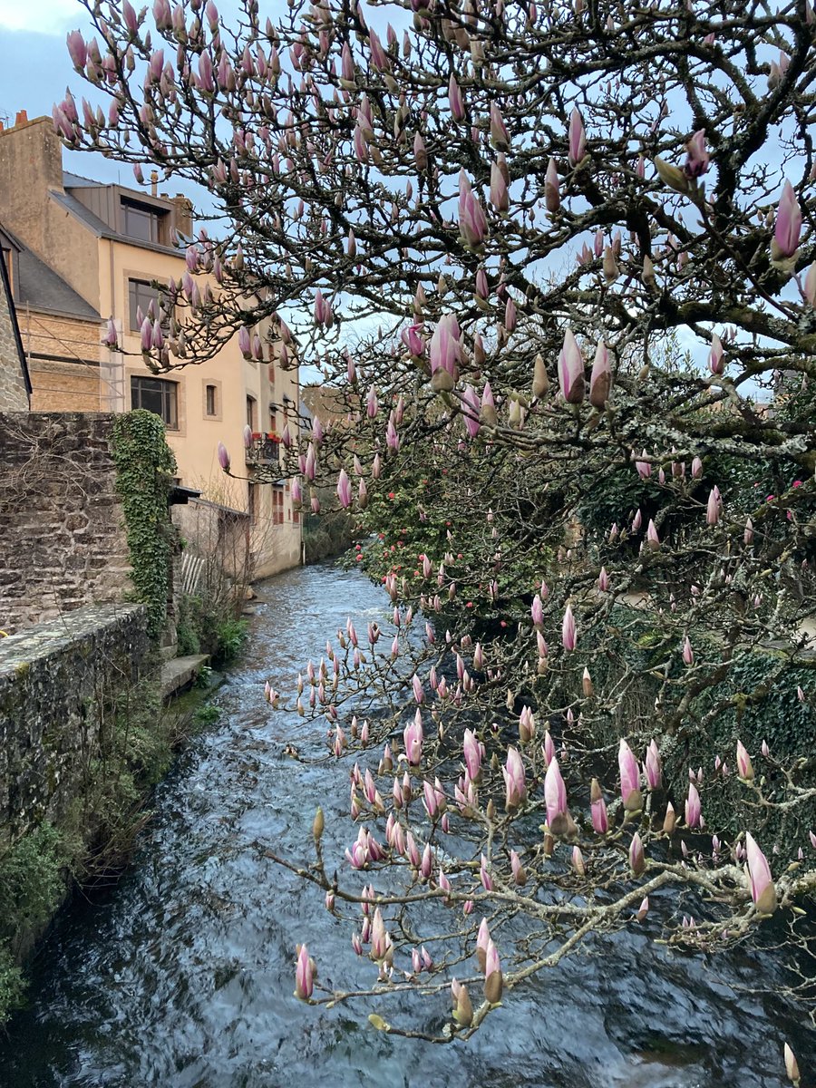 BoisdronD's tweet photo. #Pause bretonne. Tellement agréable de faire un pas de côté et de se débrancher… #Zerotumulte #WEoff ⏸ https://t.co/Wbk82I8BDM