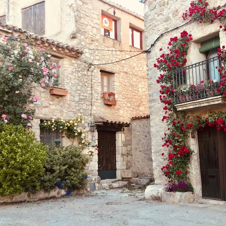 repoblem's tweet photo. EMPRENEDORS 📢

Busquen algú per portar el bar/casal🍽️ de Rojals, una pedania de Montblanc amb molt d’encant.

Les instal·lacions són noves i no es demana lloguer.

Interessats: hola@rojals.cat https://t.co/YbF8JtkcrF