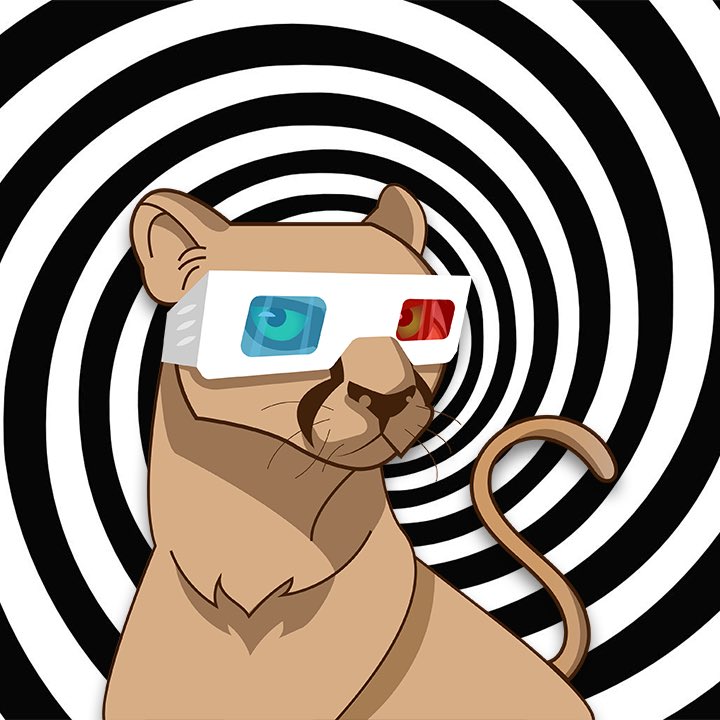 Random Cat tweet media