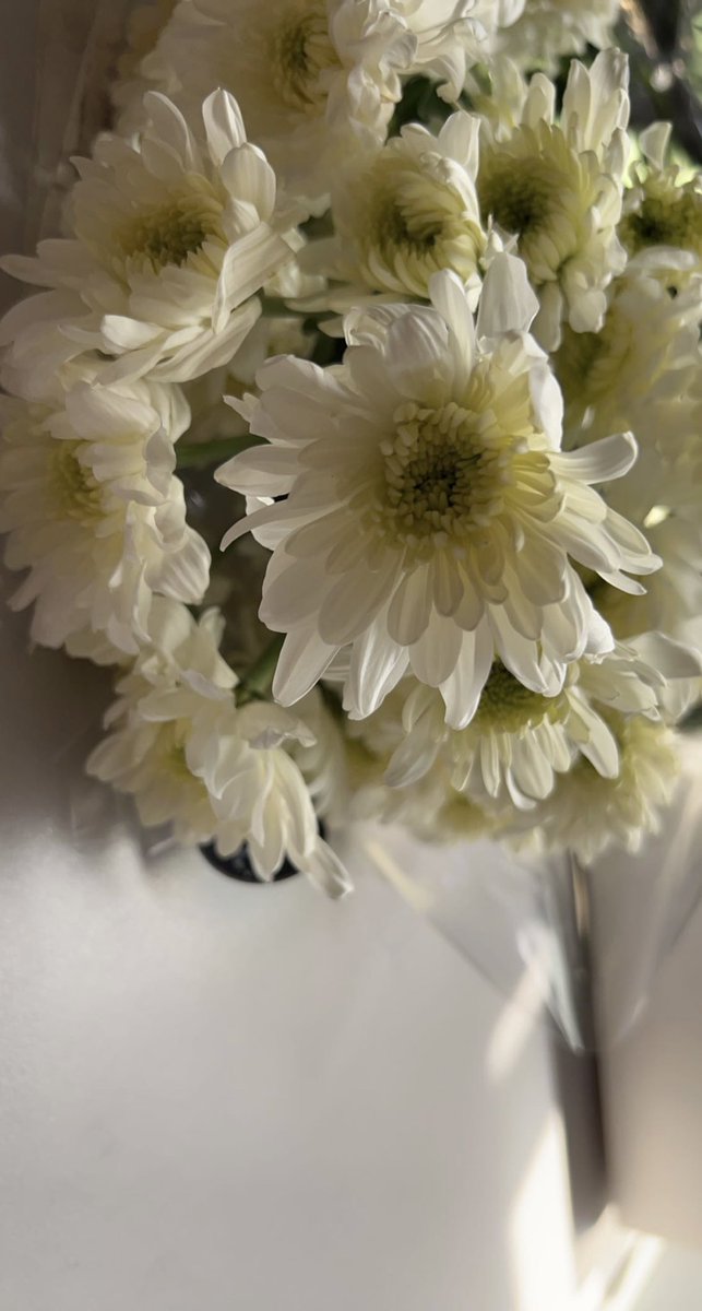 Malak Alghamdi. tweet media