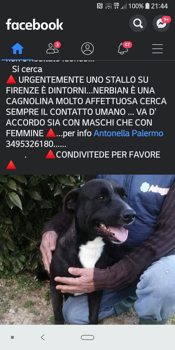 fenisia55's tweet photo. A rischio di deportazione https://t.co/gwYd3EEaPM