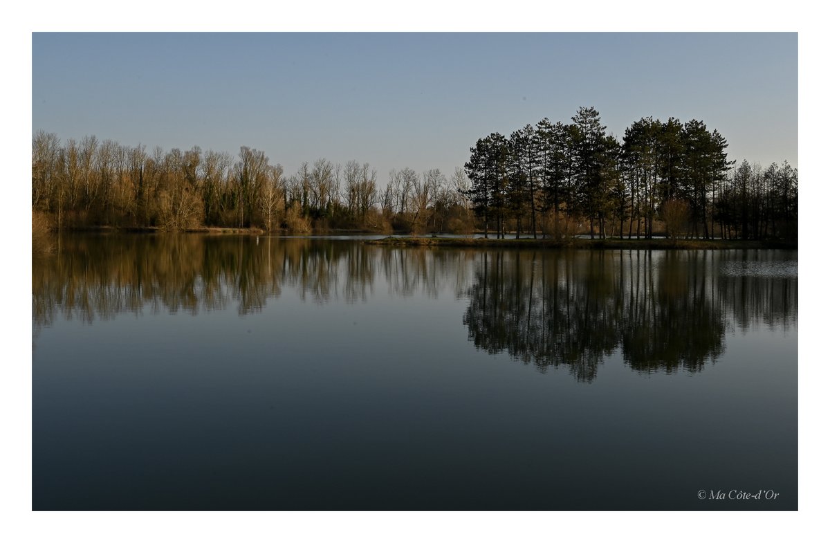 MaCotedOr's tweet photo. L'un des nombreux étangs de Côte-d'Or.
#CôtedOr #Bourgogne #BFC #MagnifiqueBourgogne #BaladeSympa #MagnifiqueFrance #ChevignySaintSauveur #landscapephotography #Nature #paysage #photography #FranceMagique #Photographie #photo #nikonz6 #nikonphotography https://t.co/DSVnVmjOq3