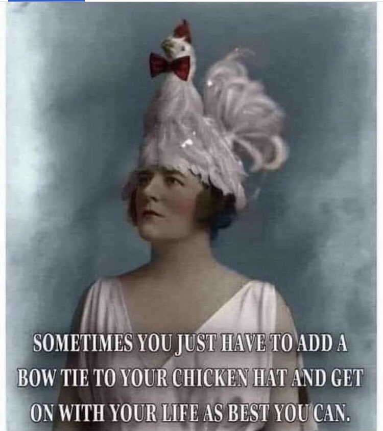 No longer a library lady (@readreadbks) on Twitter photo 