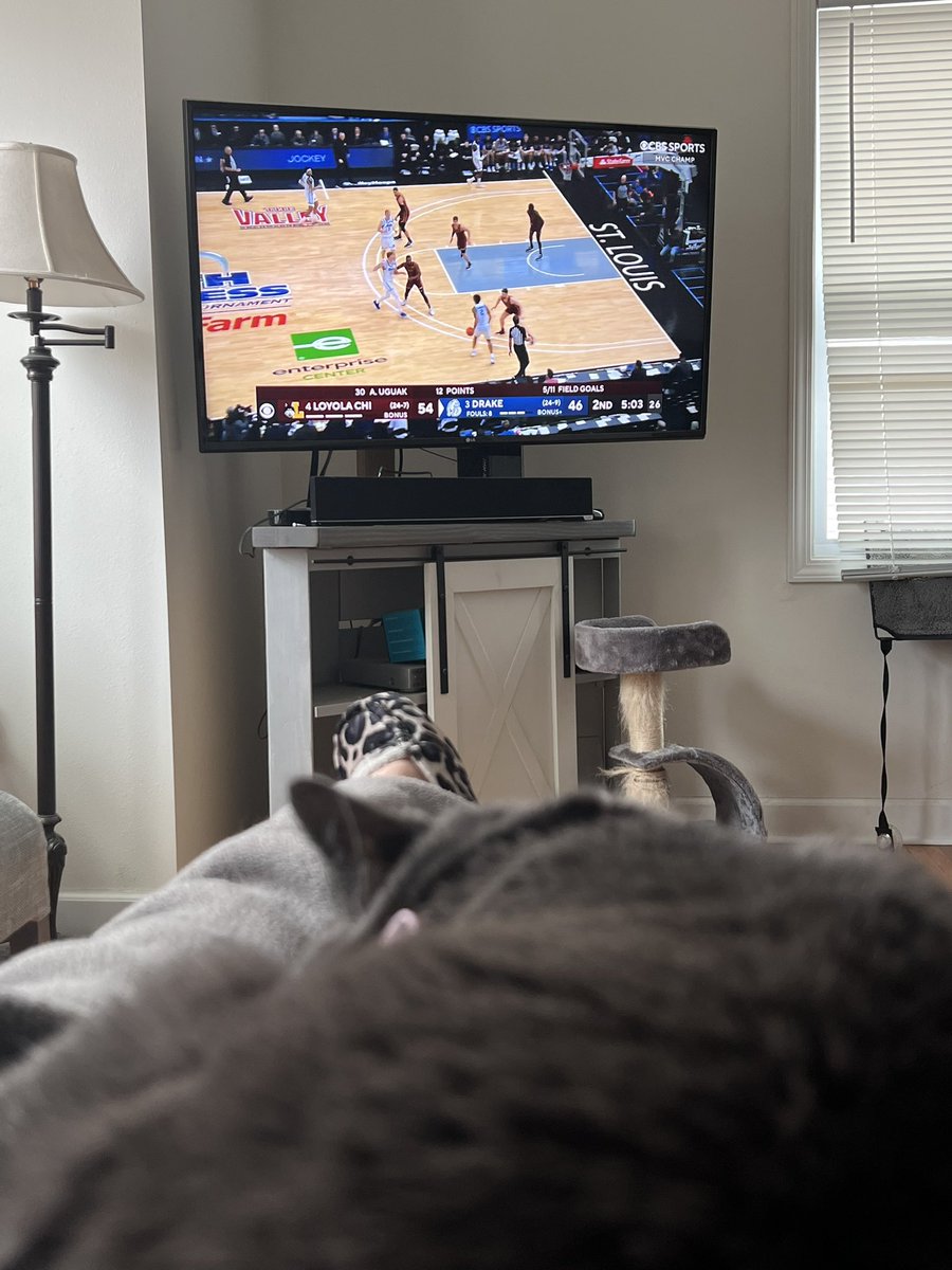 JMaeB_IA's tweet photo. Come on Drake make me yell at my tv in excitement and scare my cat! Let’s go! https://t.co/PXxITipHD5