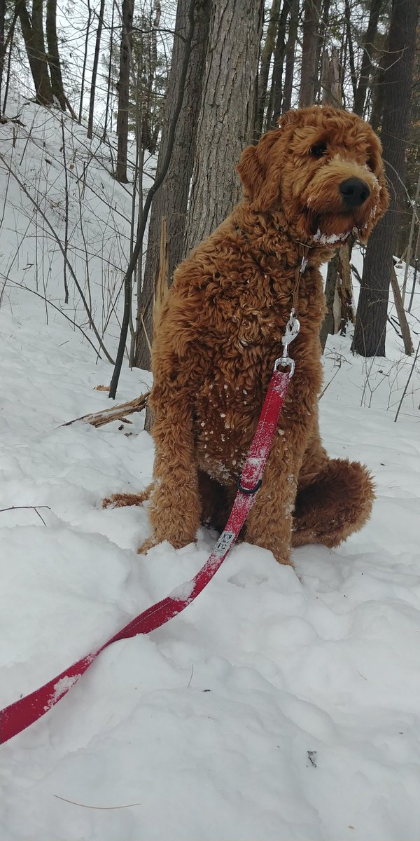 Had snow much fun at The Grove walking trails this weekend