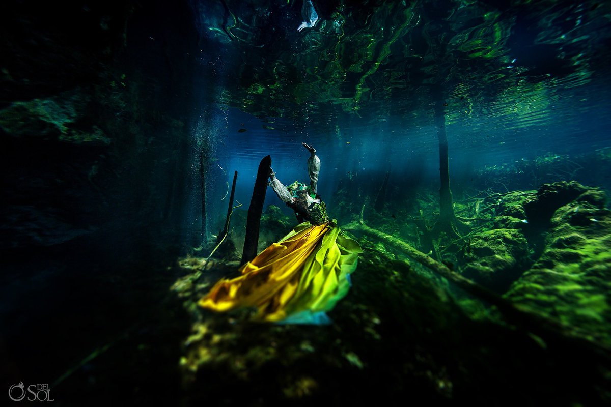 Sol Tamargo tweet media