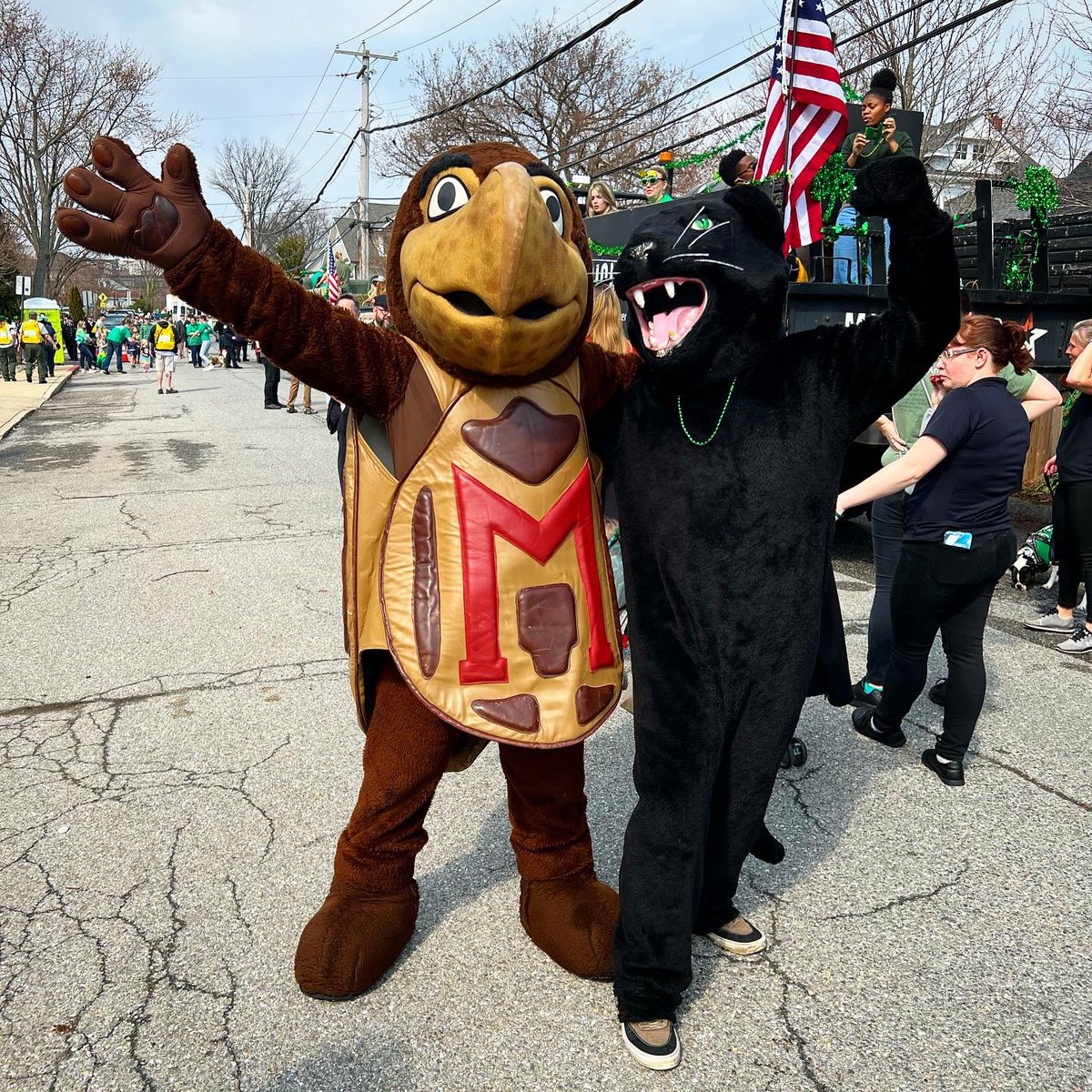 Happy (early) St. Patrick’s Day from DTA!! 🇮🇪☘️