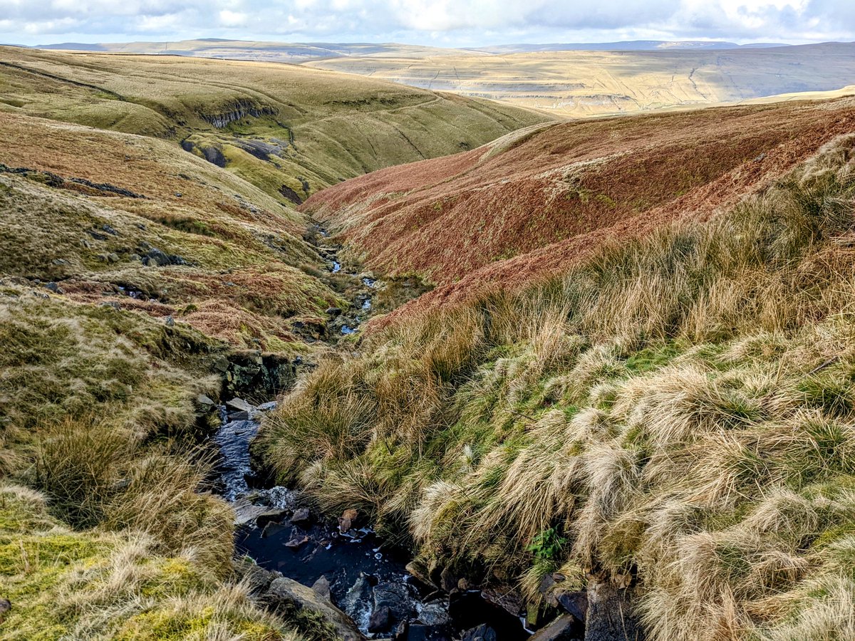 kallisteni's tweet photo. #getoutside #YorkshireDales #greatwhernside #WeatherWatchers #iloveyorkshire 
A good day in the dale, approaching Gt Whernside via Hag Dike Gill Beck https://t.co/qUIjjY3Zun