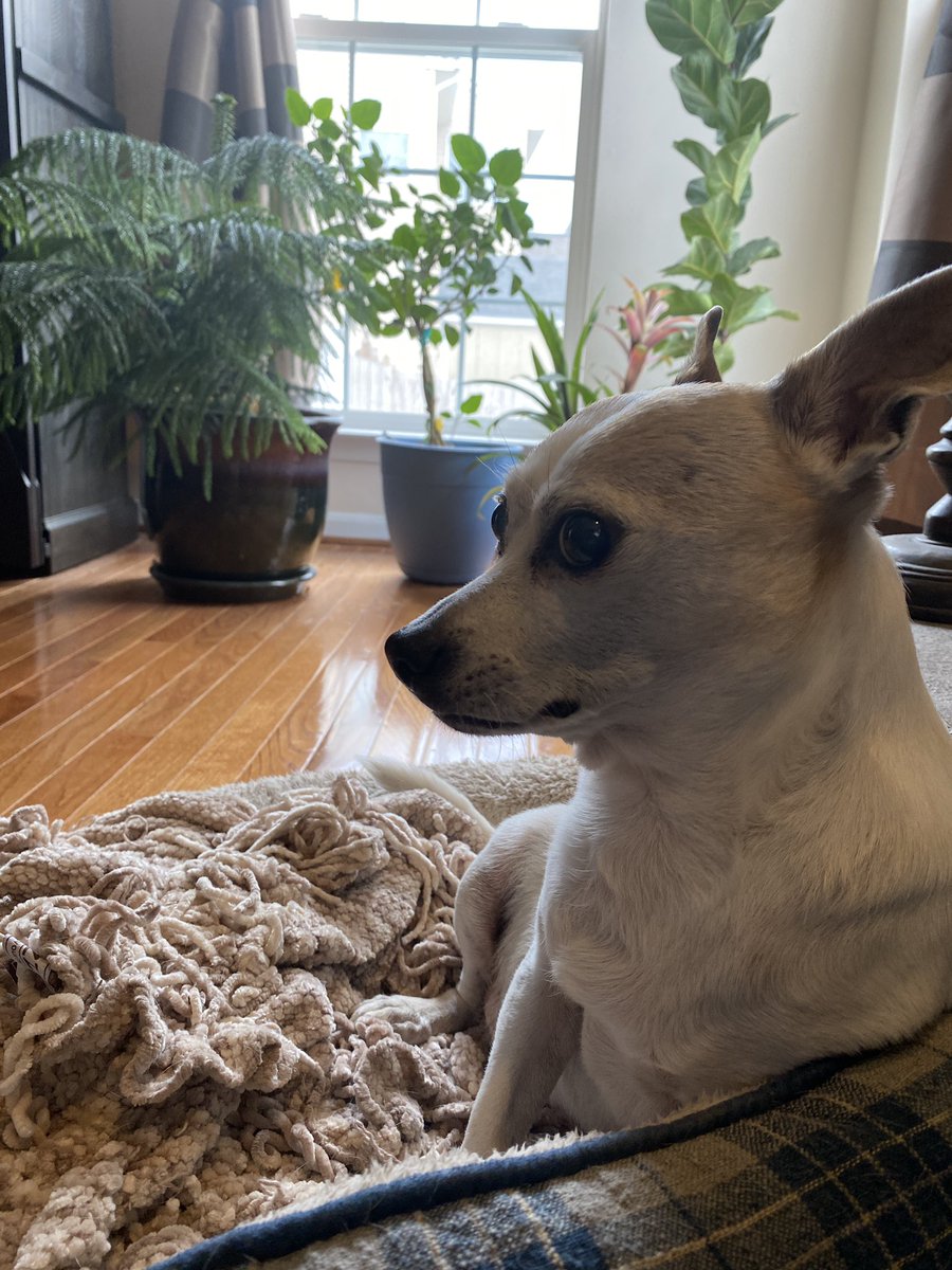 tasteochaos's tweet photo. he could be a model https://t.co/B7qLyhFGj1
