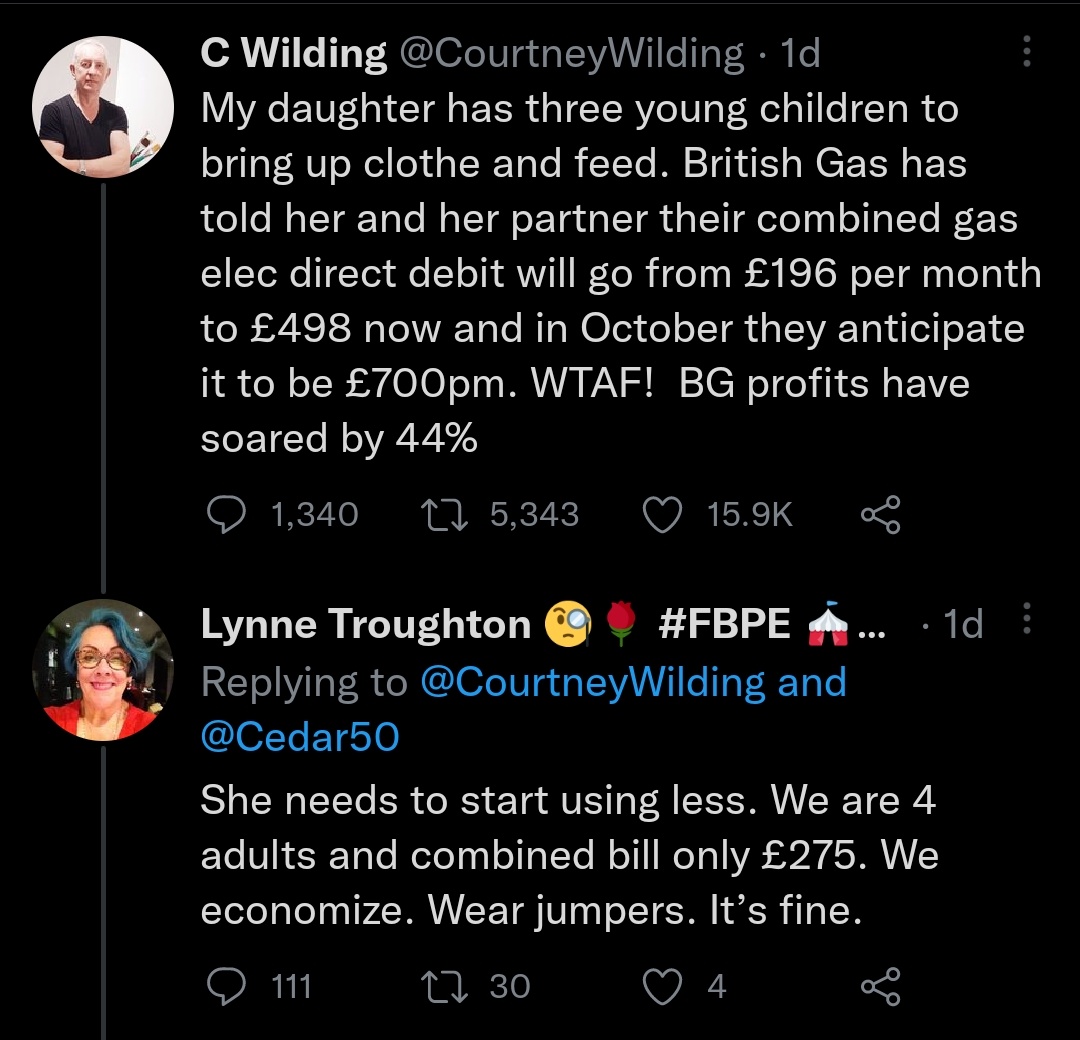 poncyvaper's tweet image. Lynne is a Labour councillor: