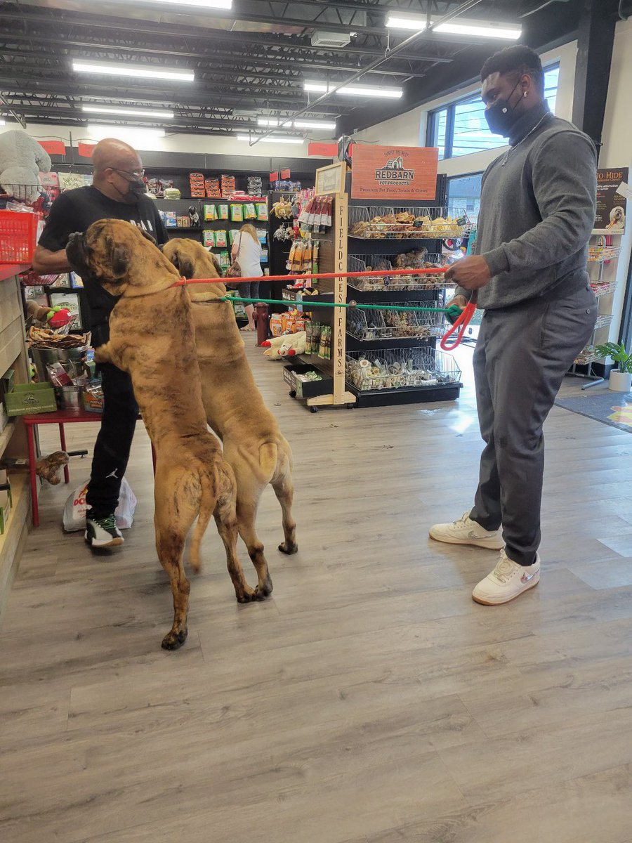 EricRayweather's tweet image. My girls mom sent her this picture to show her the dogs, not even realizing that’s Zion 😂😂😂