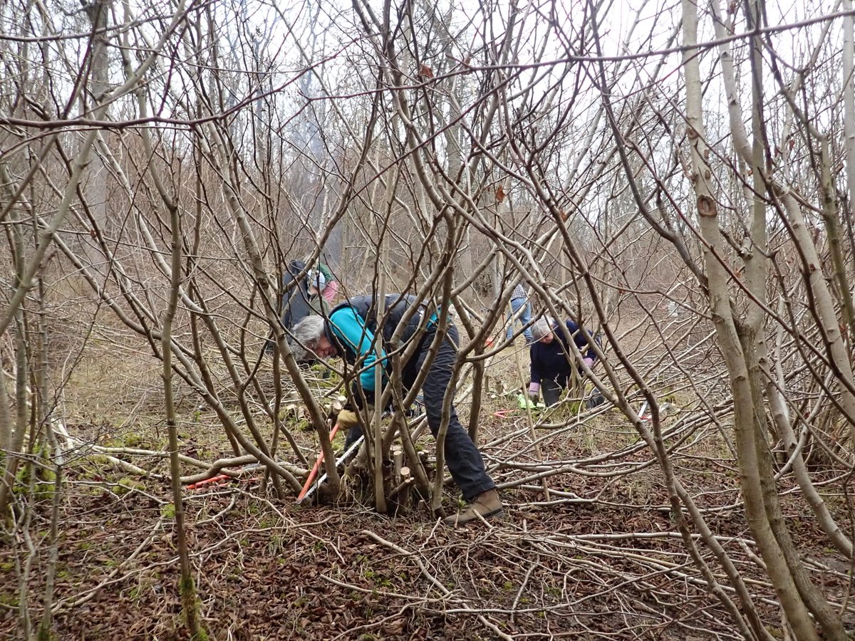 Mick Jones on Twitter "Getting towards the end of our cutting