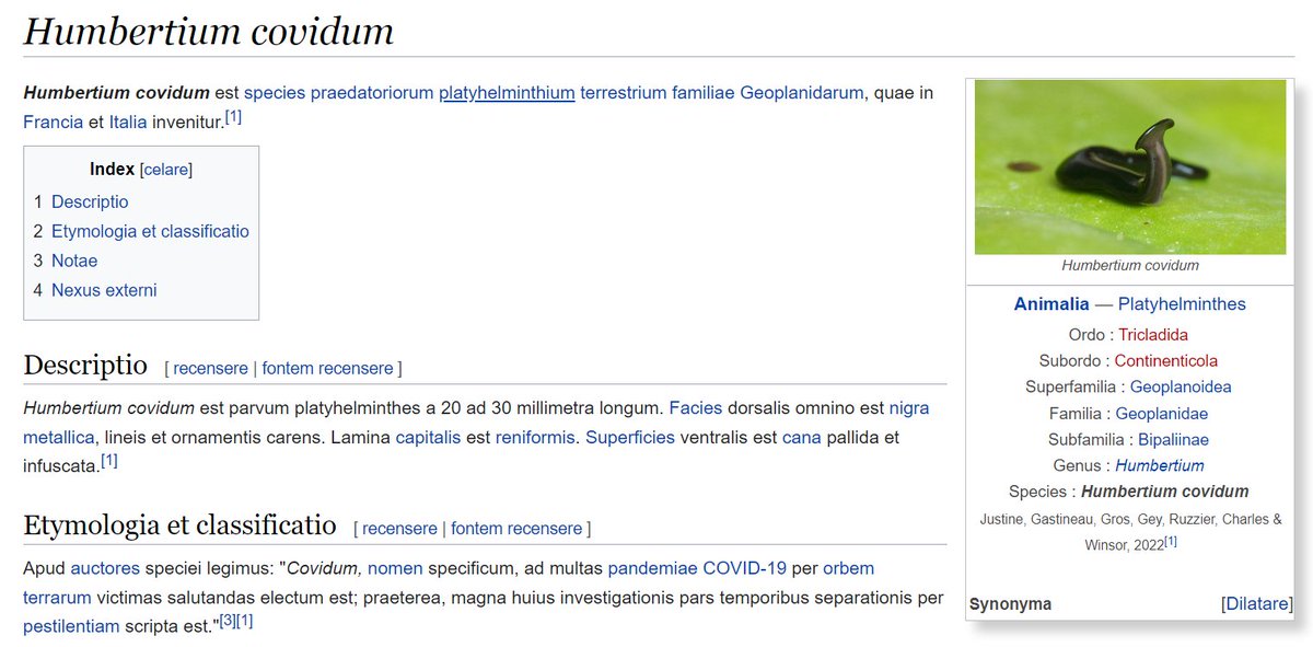 Very happy to see that our new species Humbertium covidum has now its own page in Wikipedia in... Latin! (in addition to English, French & Polish) la.wikipedia.org/wiki/Humbertiu…