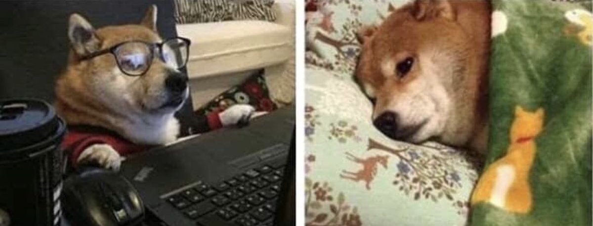 Guarromantico_'s tweet photo. Yo cuando stalkeo / Cuando veo algo que no debí ver https://t.co/OmwwAmW88c