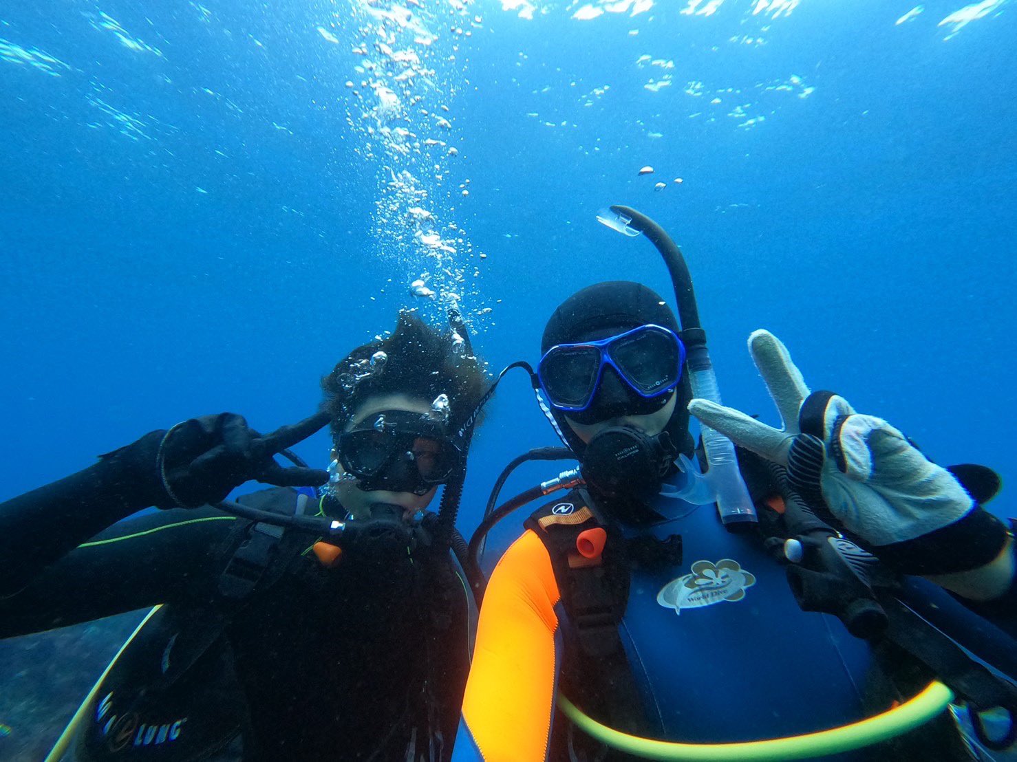 芝浦工大スキューバダイビング部 Sitscuba Twitter
