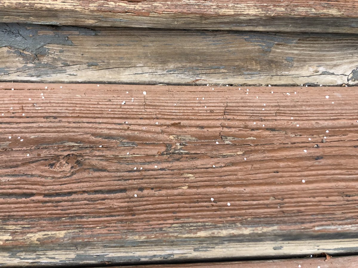 We have had graupel coming down at Fairview Golf Course for about the past 10 minutes.
<a href="/mikebracciano/">Mike Bracciano</a>