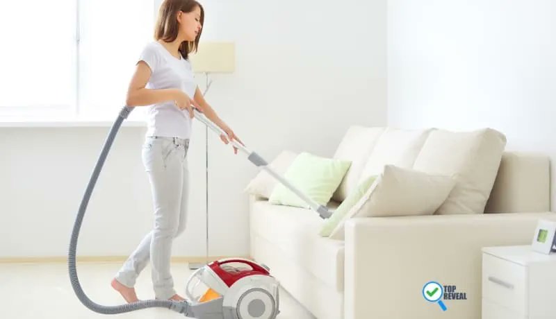 topreveal's tweet photo. Best Vacuum for Pet Hair On Couches (2022): Cleaning Up After Man’s Best Friend https://t.co/OqL98hw3wt https://t.co/AyyUTAsrq7