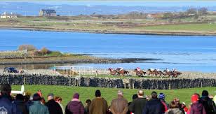 <a href="/JoePompliano/">Joe Pompliano</a> <a href="/jamesaknight/">James</a> <a href="/BellharbourPtoP/">Bellharbour PtoP</a> course 
County Clare, Ireland 🐎🇮🇪