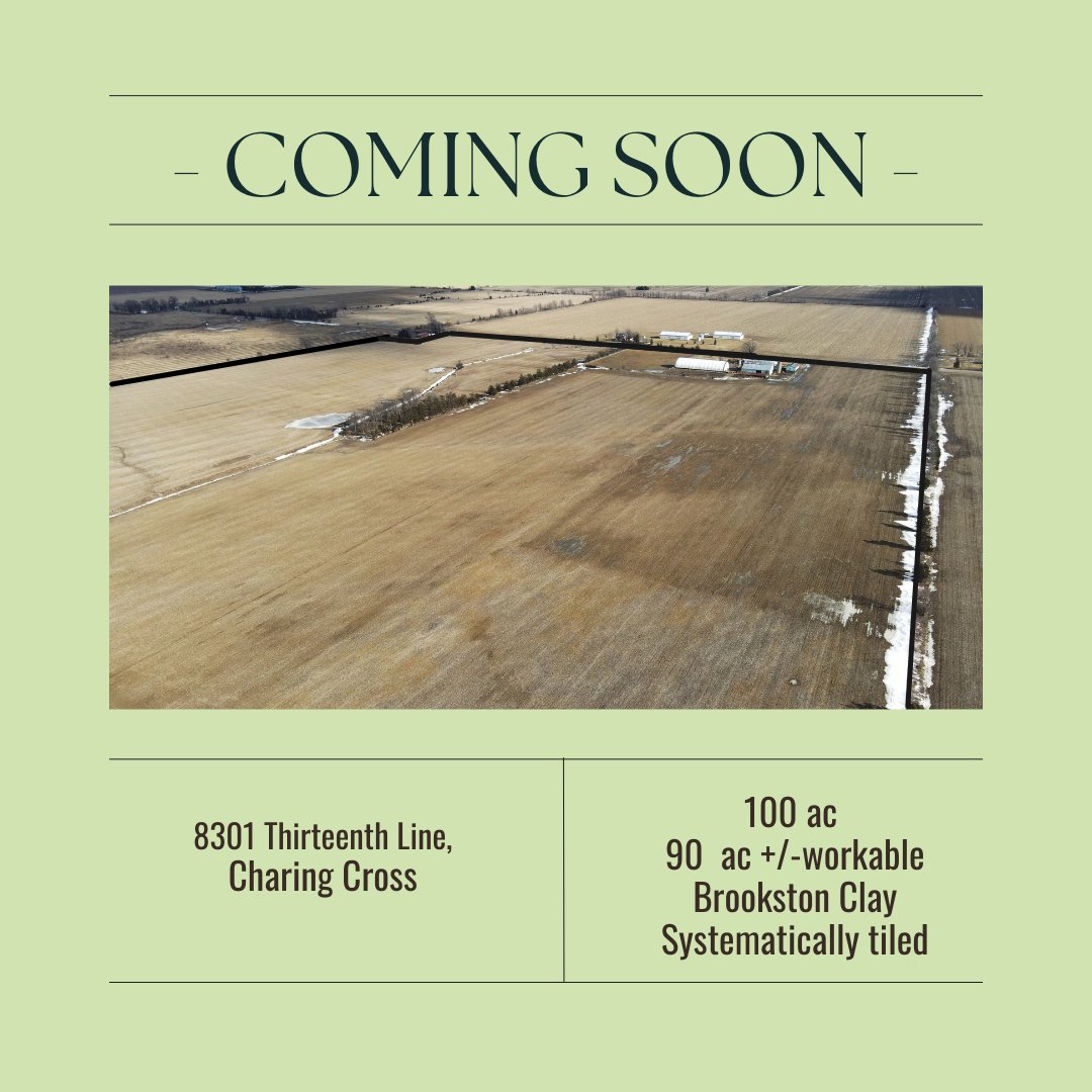 JackieMPepper's tweet photo. Coming to MLS March 9th!
Offer date is March 22, please submit offers by 2 p.m.
Call @HandsorPaige for additional details.
#justlist #jackieandpaige #justfarms #OntAg #agtwitter #ckfarms https://t.co/mSqubDlAv9