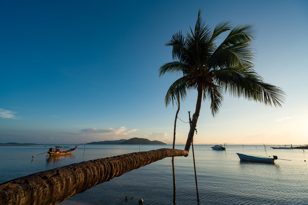 TheBeachSamui tweet picture