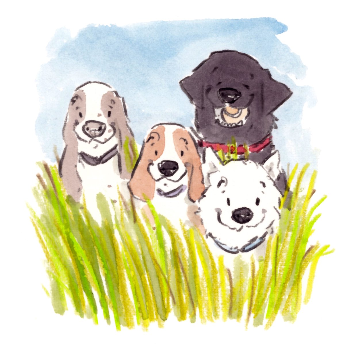 Good night, lovely people and lovely dogs.
I am sending you the very best wishes. 
Sleep well and sweet dreams. 
#hoorayfordogs #springer #beagle #labrador #westie #tennisball