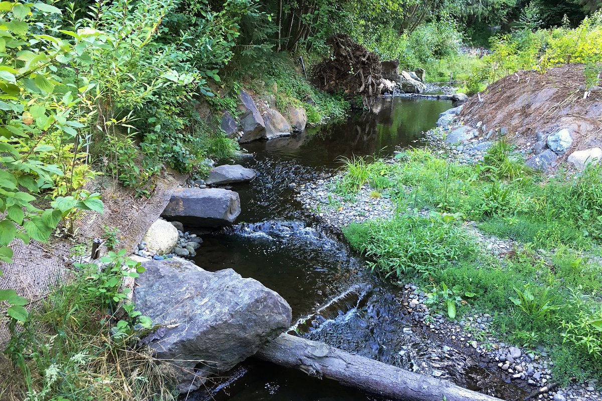 SeattleSPU's tweet photo. Making our urban #watershed work for people and wildlife is what our Thornton Creek Confluence Project is about. We restored the original #floodplain with space for water to be held during storms. #Habitat and #water quality improved, and local flooding reduced! #ShapeOurWater https://t.co/ufaOLbyKWl