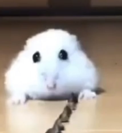 spencerrro's tweet photo. me whenever cruz is flirting with anyone really https://t.co/tE1NaLPmFz