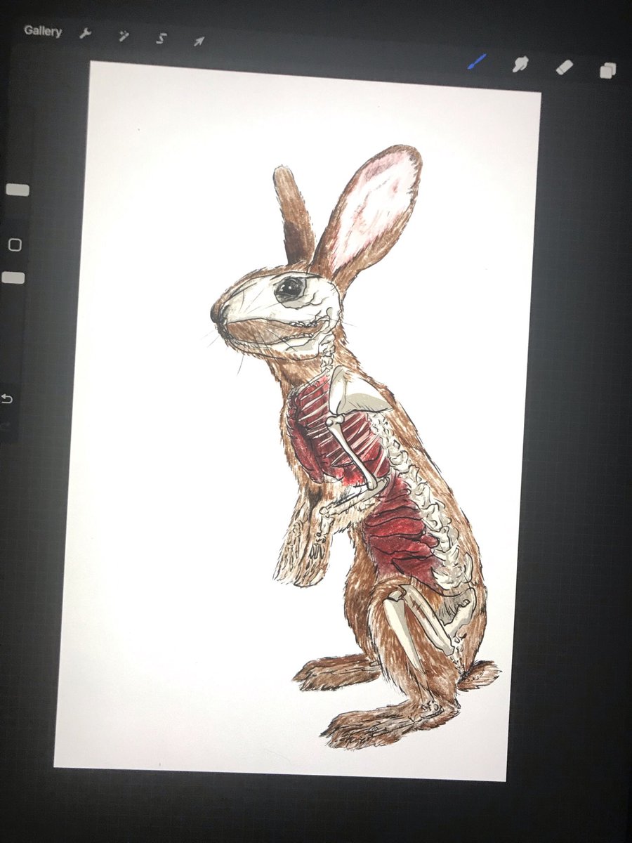 frmthsimulation's tweet photo. #WIP https://t.co/shKgZctMNh