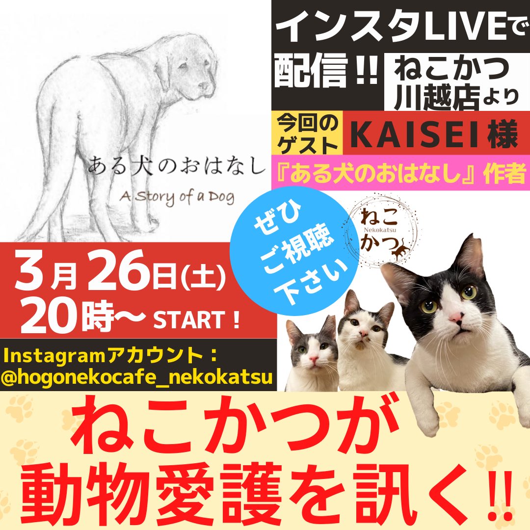 保護猫カフェねこかつ 川越 大宮日進 S Tweet ねこかつが動物愛護を訊く インスタliveで ゲストに動物愛護をお訊きします 次回は 3 26 土 時 ゲスト Kaisei様 ある犬のおはなし 作者 ある犬のおはなし ぜひご覧ください ねこかつ 保護 猫