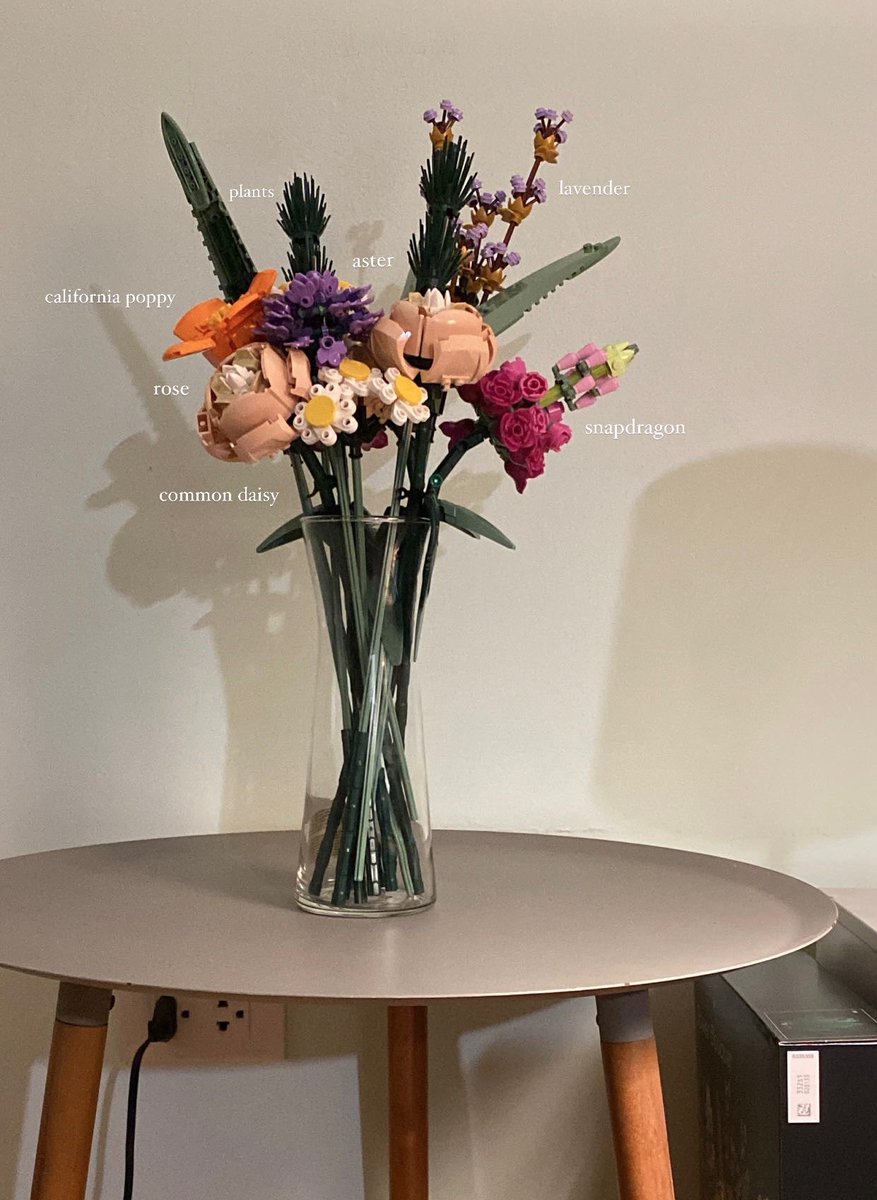 calllmeprin's tweet photo. my
bouquet 
flower
💐 . . https://t.co/z842y4vZM5