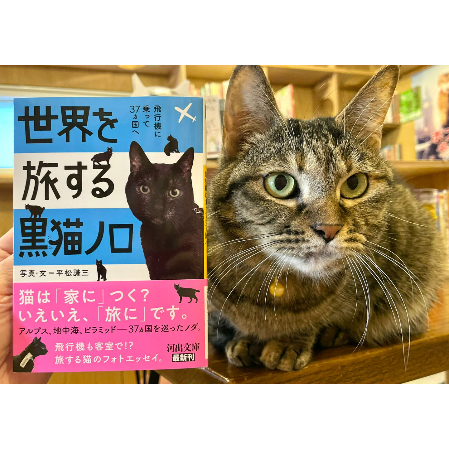 ノロ Noronow Twitter