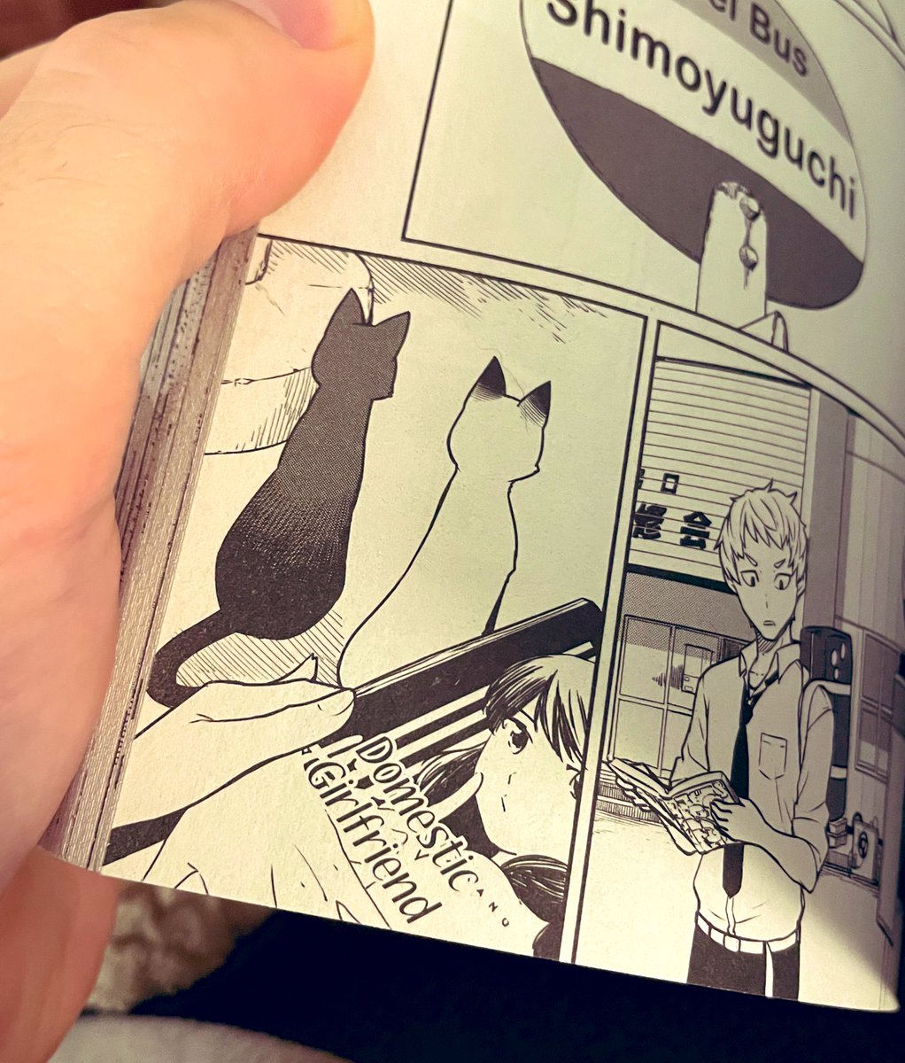Manga cameo in Flying Witch… I see you. #cultured
