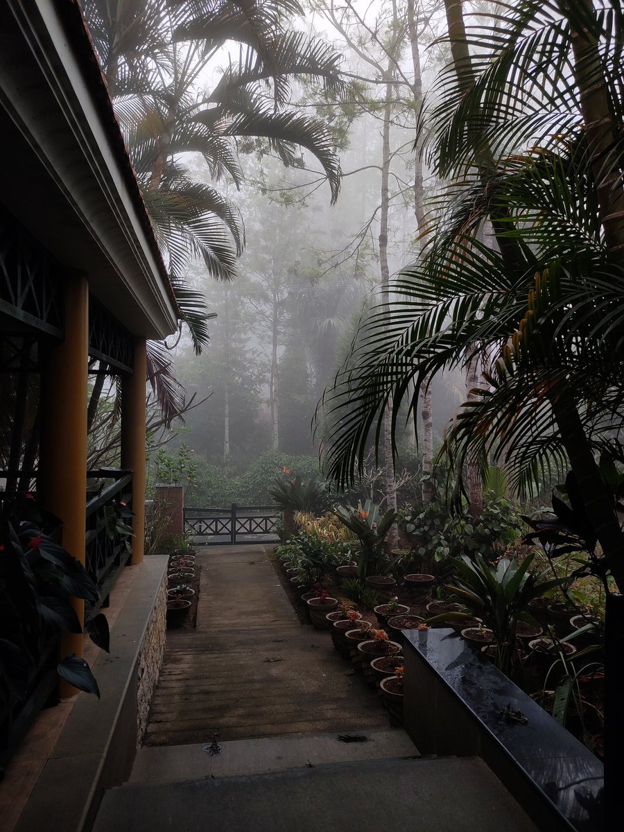 captain_catpain's tweet photo. Ok, Yercaud, I wasn't expecting this at 9 am https://t.co/6jhjfr4KLt