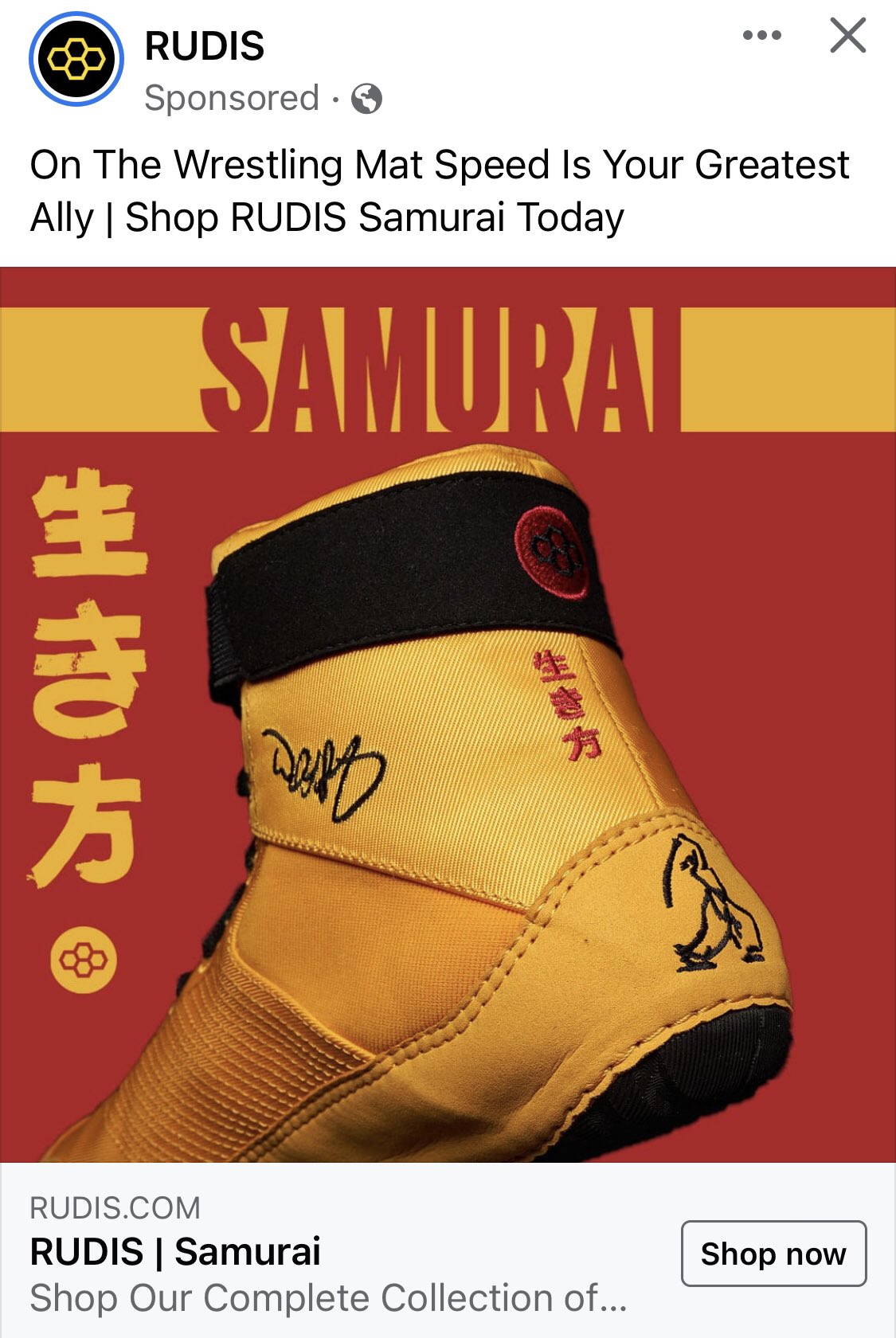 RUDIS ルーダス レスリングシューズ トレーニングシューズ