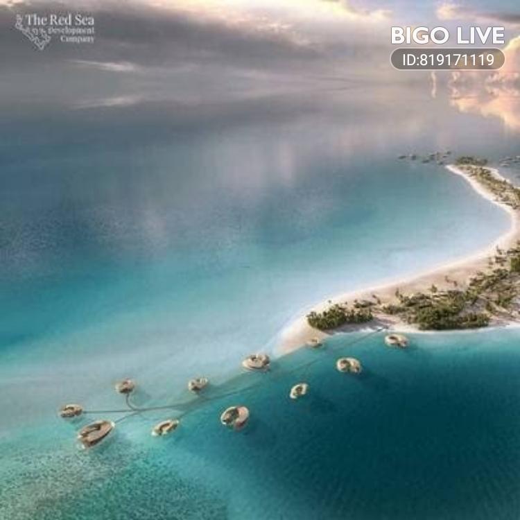 threed ksa tweet media