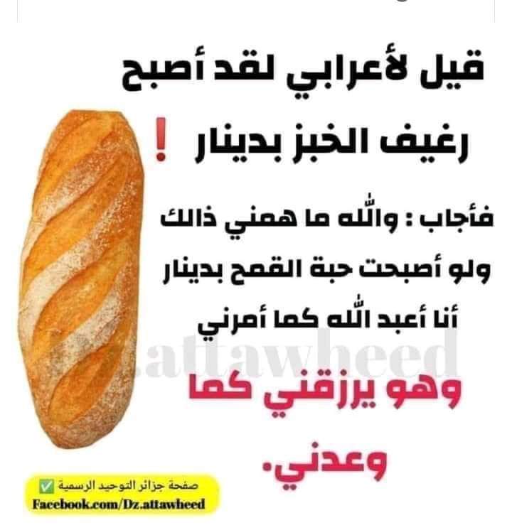 ممدوح ابو ريانmamdouh abo Rayan (@mamdouhaborayan) on Twitter photo 