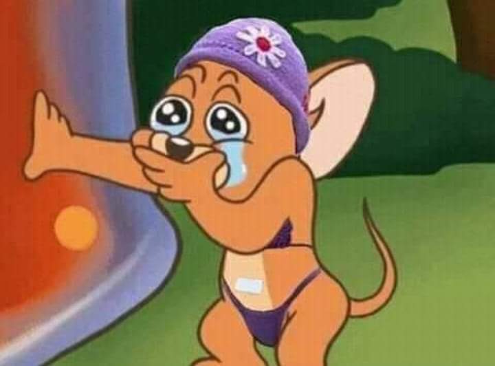 tessayummy's tweet photo. Quando atendeu o bigfone: bora, eu e você no paredão!
No quarto: tô com medo

#ForaJade caralho a jade ridícula  pelo amor de deus #BBB22 https://t.co/LxYy2Rg3xC