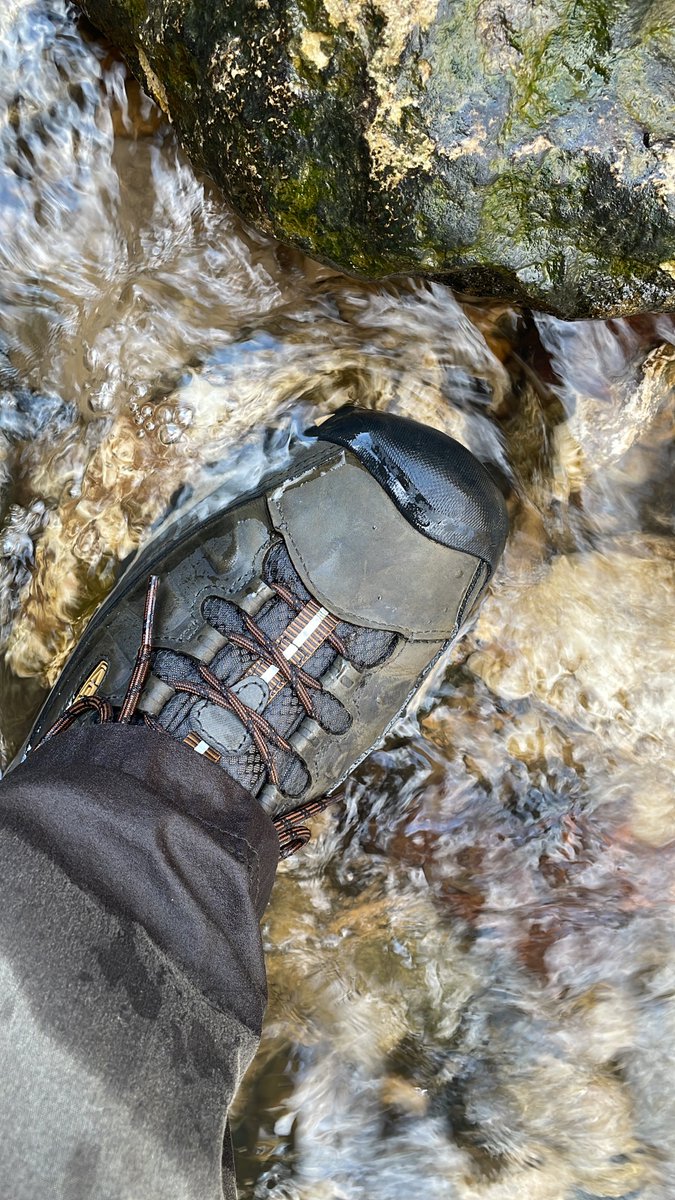 JeffreyTadlock's tweet photo. These Keen boots have been working out well for me. Good grip and they’ve kept my feet nice and dry, even when I stand in or cross streams!

#hiking #boots #getoutside #streamcrossing 

@KEEN https://t.co/8EtAQ07fnh